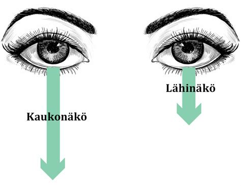 kaksiteholasit netistä